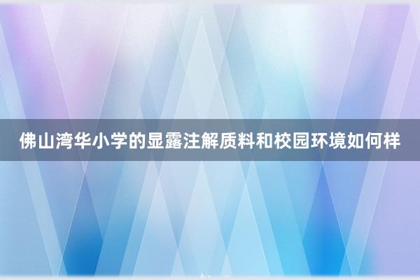 佛山湾华小学的显露注解质料和校园环境如何样